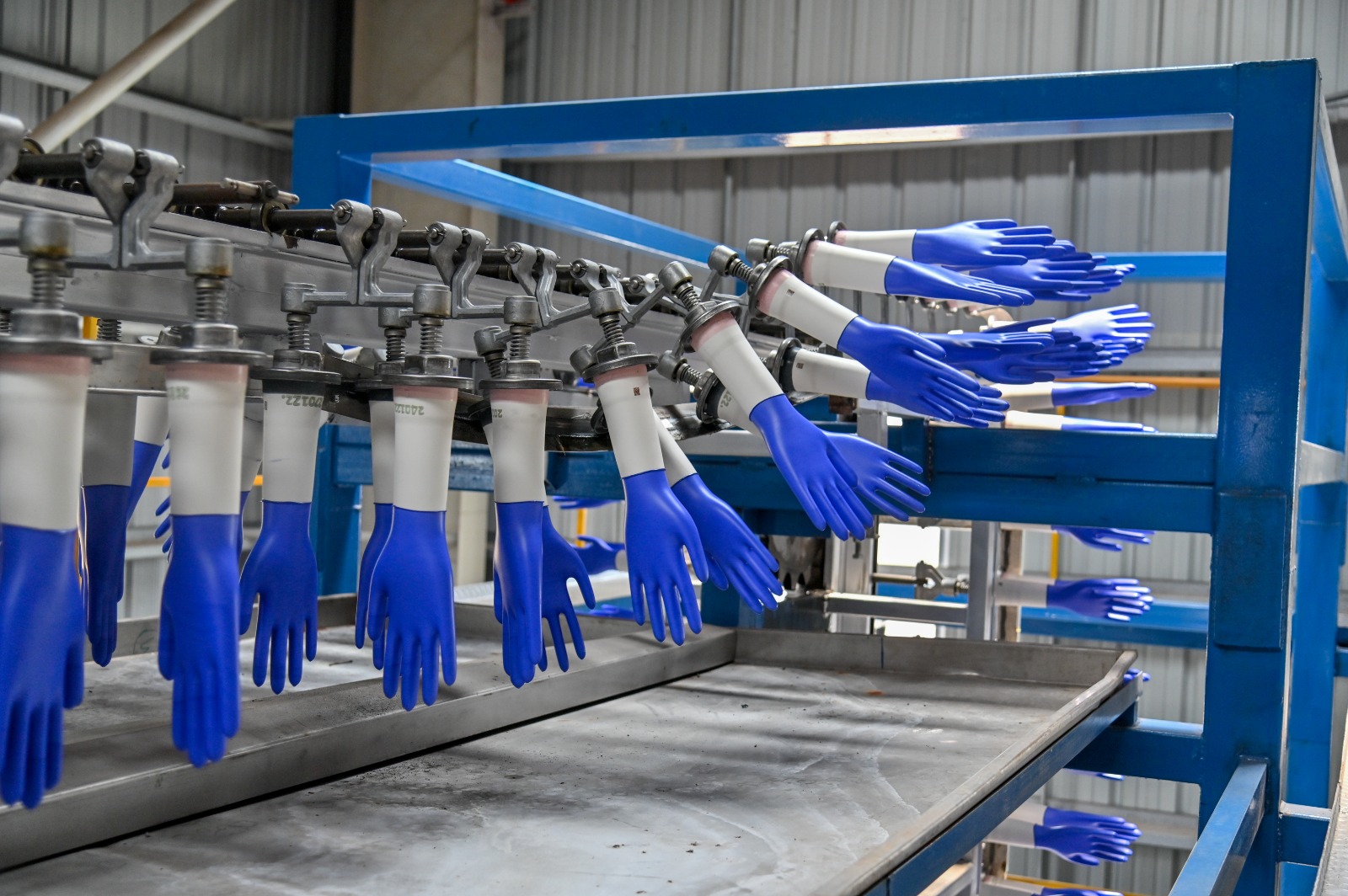 Disposable Single-Use Gloves: India&rsquo;s Deadly Reuse Trap