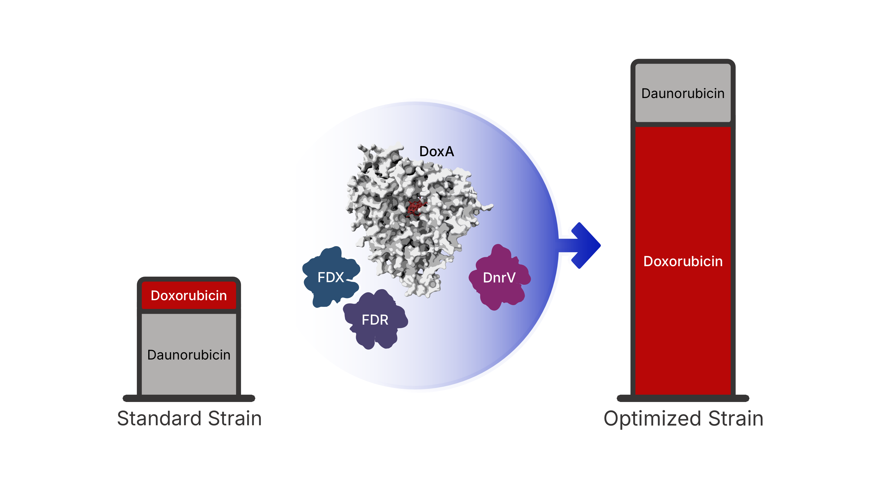 Researchers break decades-old bottleneck in chemotherapy drug manufacturing