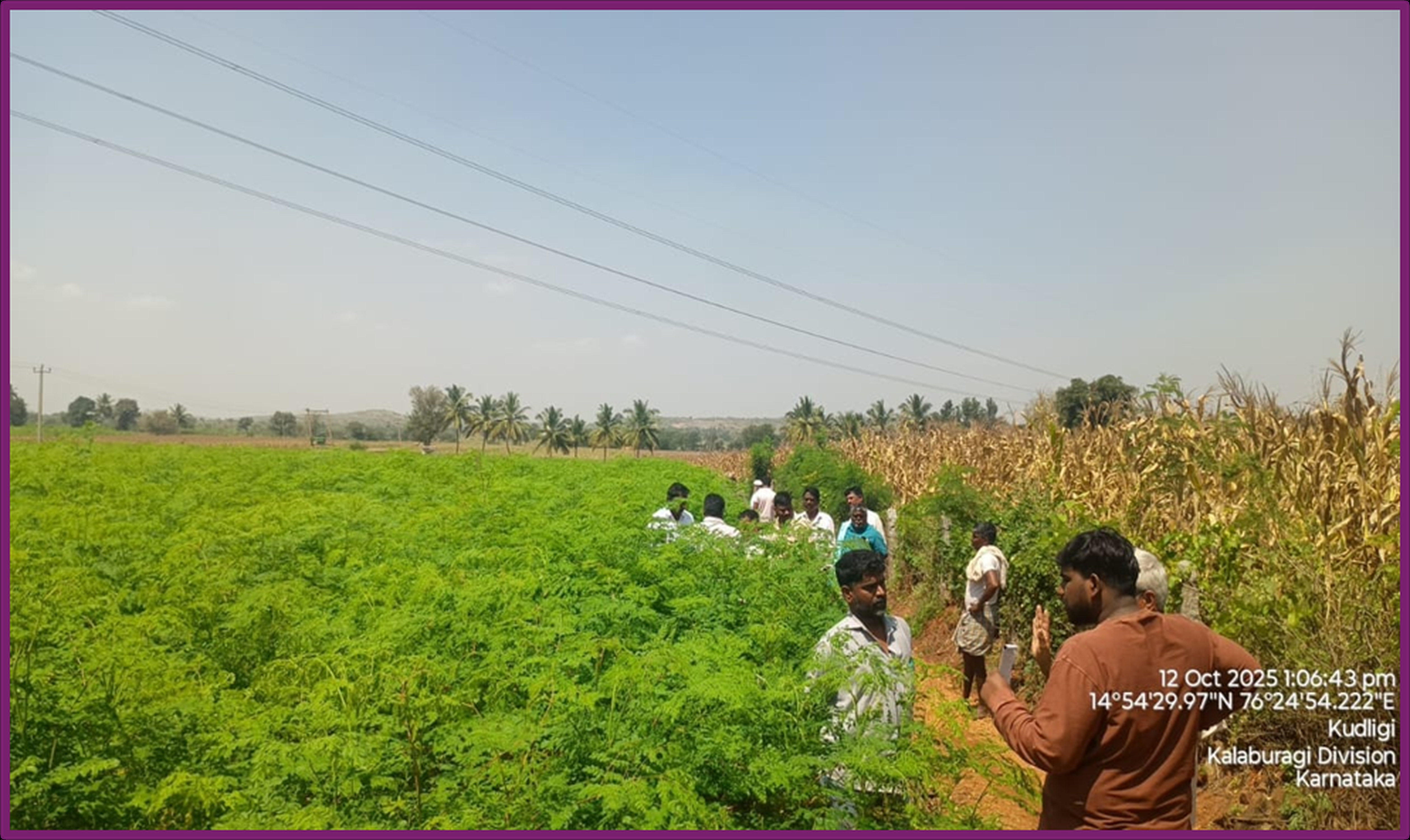 Adani Foundation at ACC Thondebhavi Helps Farmers Transition to Sustainable Agriculture and More Stable Incomes