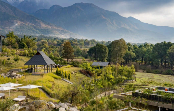 Discover the Himalayan Monsoon at Norbu The Montanna