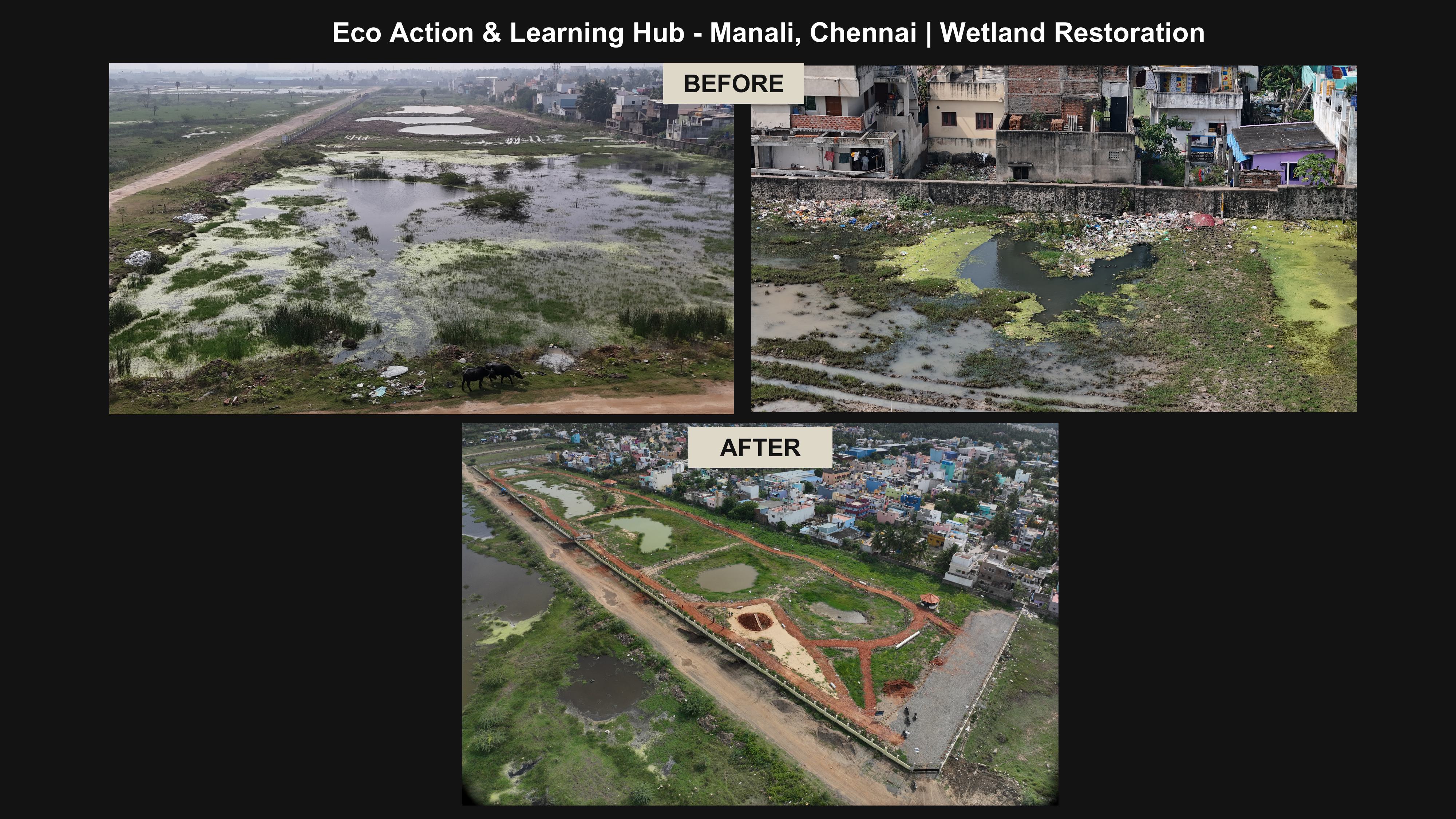 Accenture supports the development of an Eco Action & Learning Hub focused on wetland restoration in Chennai
