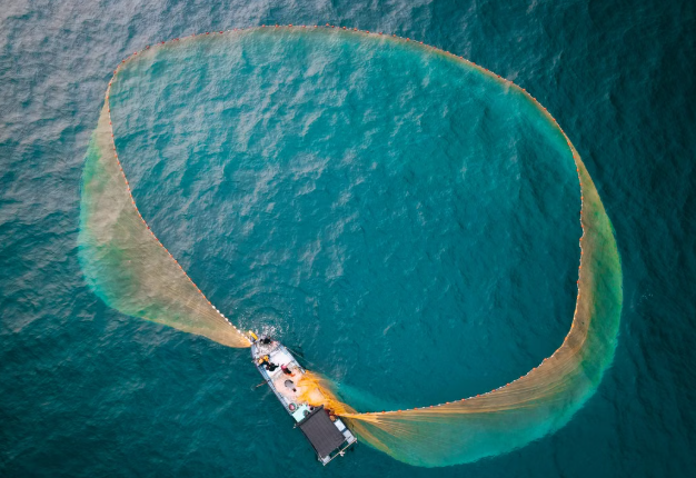 India-Seychelles Partnership Opens New Opportunities in Fisheries and Blue Economy