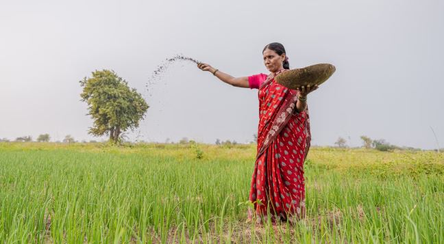 India's Changing Food Economy and the Opportunities for Small Farmers