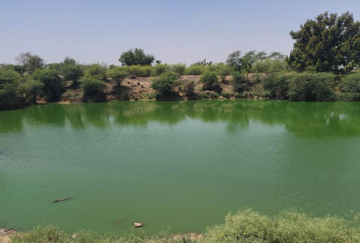 Siegwerk Restores 11-Acre Pond in Rajasthan with  INR 70 Lakh Investment, Reviving Ecology and Community Life