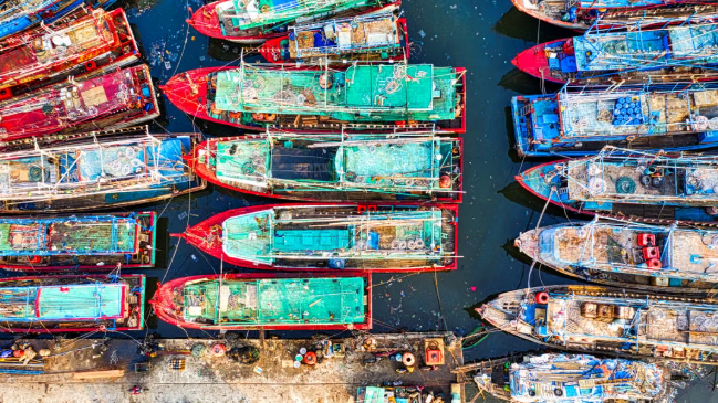 India, Iceland Eye Stronger Fisheries and Green Shipping Partnership