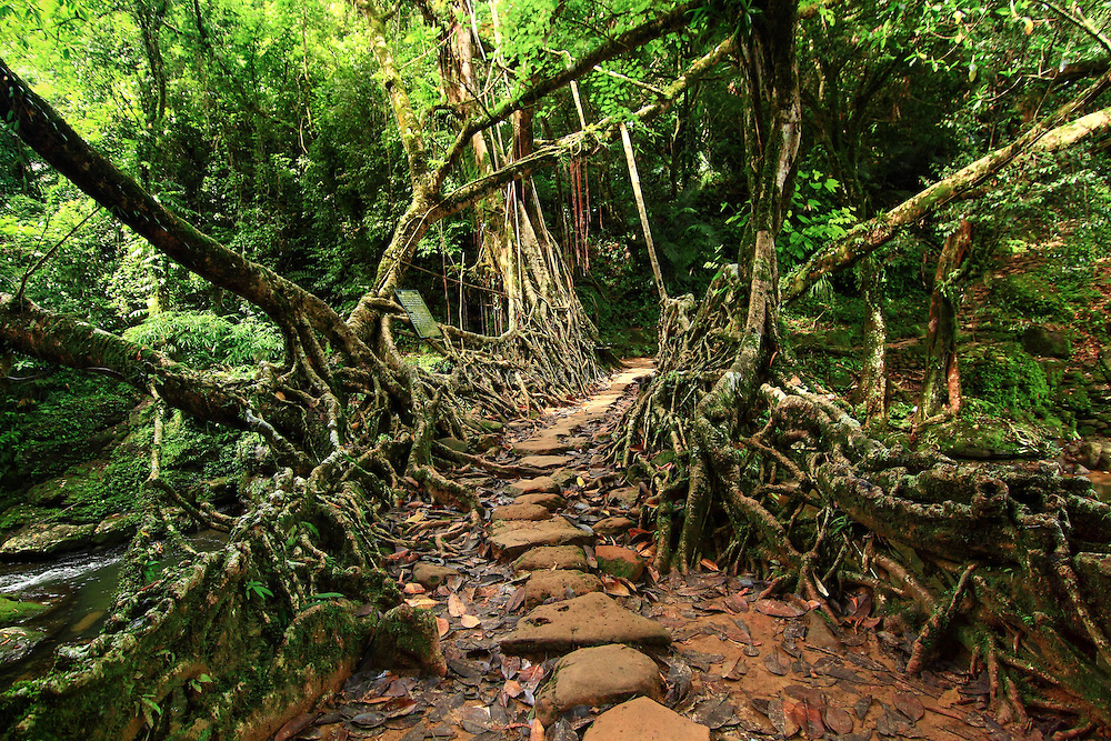 How Meghalaya Is Turning Local Families into the Future of Tourism