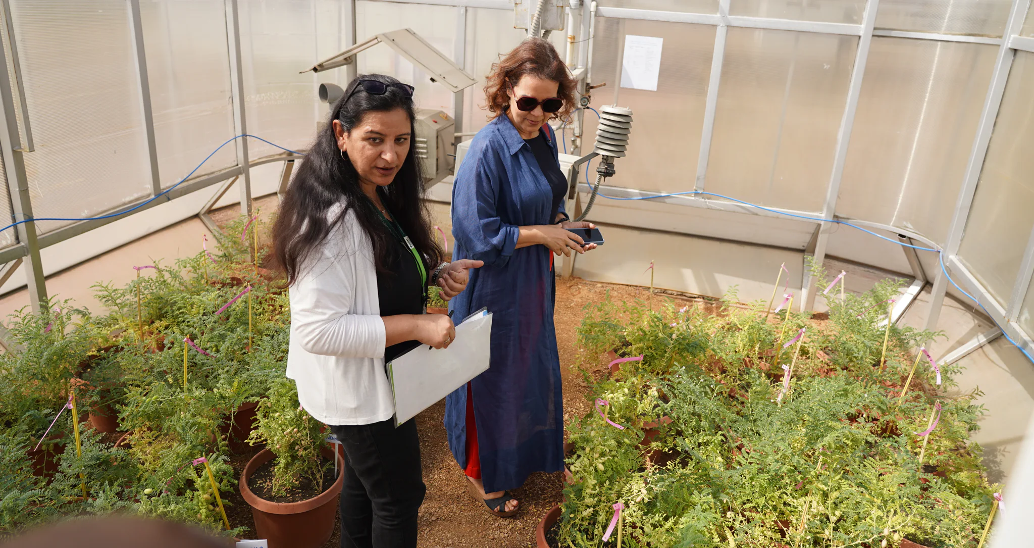 Plant Health for Food Security: ICRISAT&rsquo;s Integrated Approach to Grain Legume Disease Management