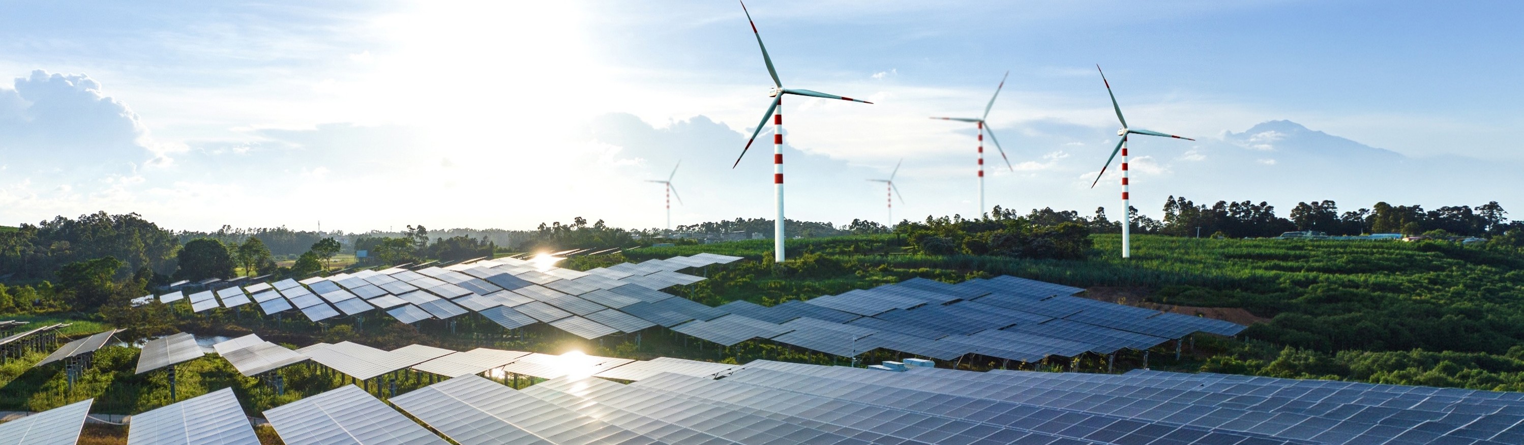 Suzlon wins its maiden 200 MW wind energy order from Ayana Renewable Power