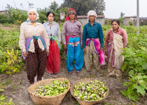 Rural Women Entrepreneurs: The Businesses That Rarely Make Headlines