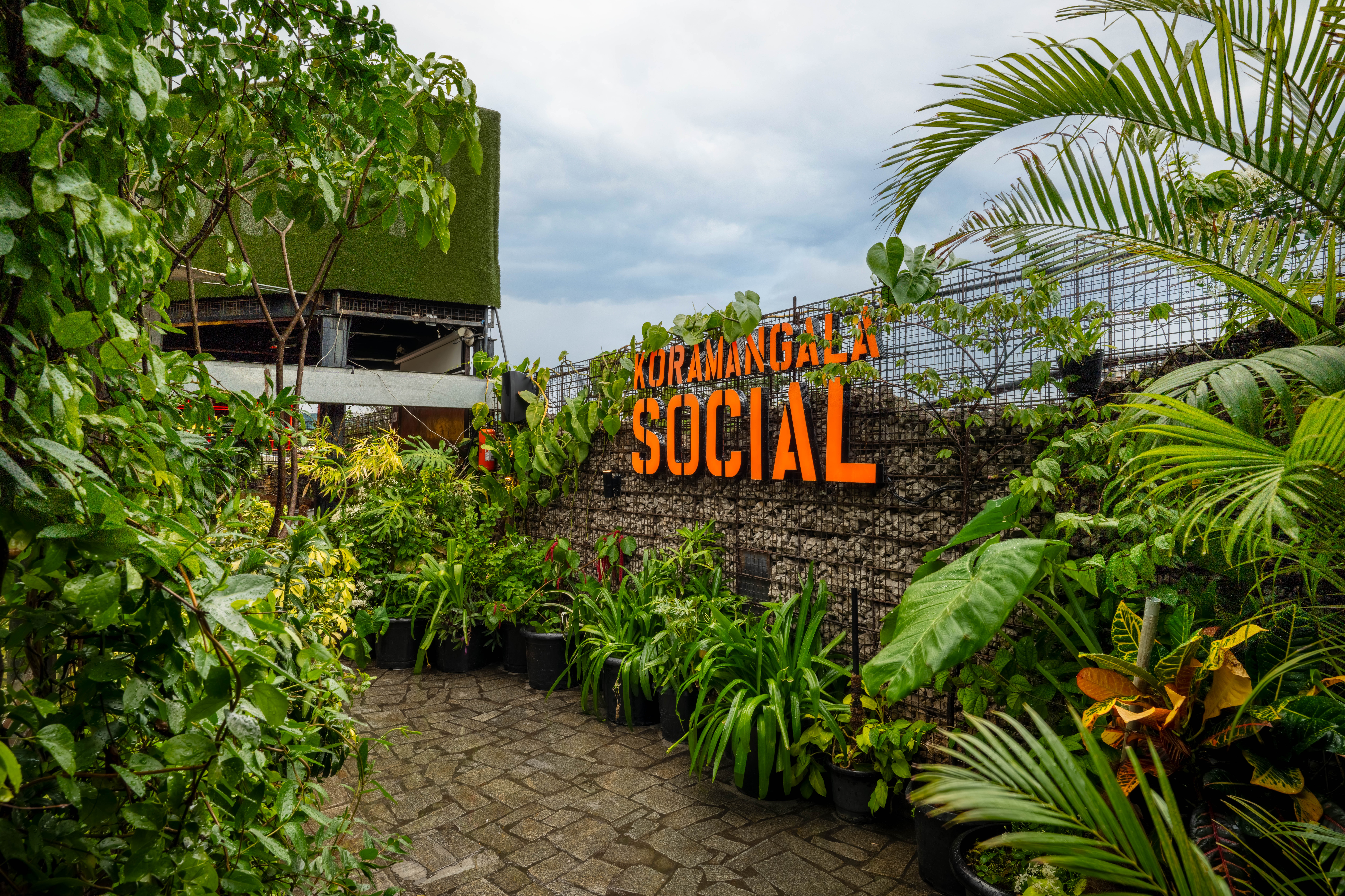 Koramangala SOCIAL Turns 10 With 50 percent Off and One Very Long Weekend