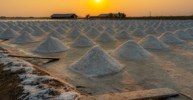 From Heat to Harvest: Vedaranyam Salt Producers Race Towards Annual Goal