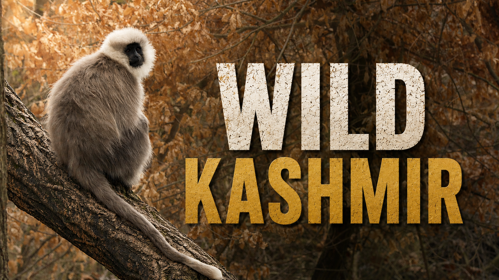 Warner Bros. Discovery Spotlights India&rsquo;s Acclaimed Wildlife Storytellers With India: Epic Wild Stories On Animal Planet