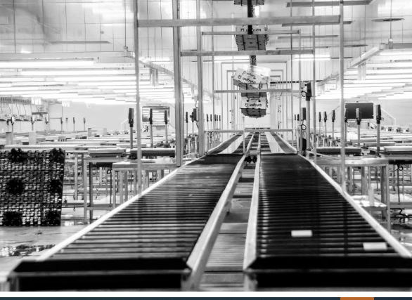 India&rsquo;s Investment Push Gains Momentum as Manufacturing and Technology Expand