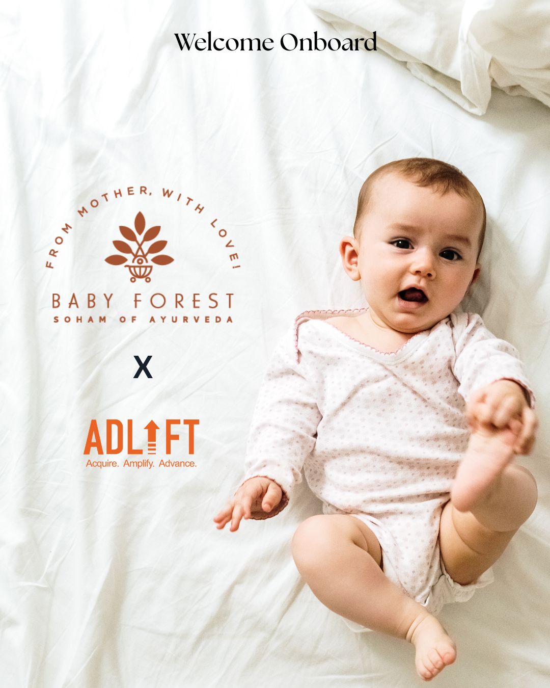 AdLift Wins SEO & Content Marketing Mandate for Baby Forest, Strengthens Play in AI-Led Search Growth