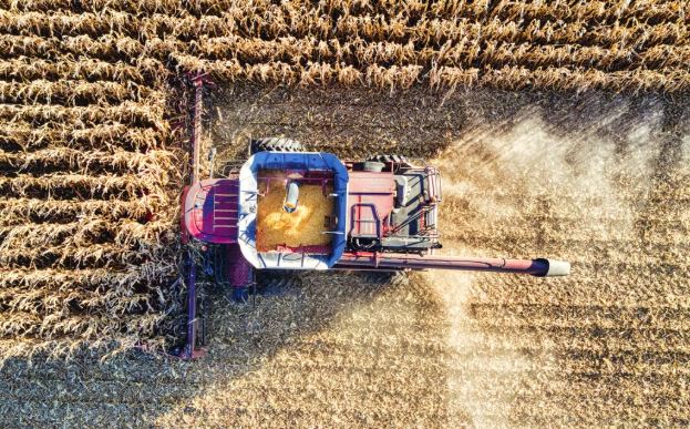 India's Food Processing Sector and New Opportunities for Farmers and Rural Entrepreneurs