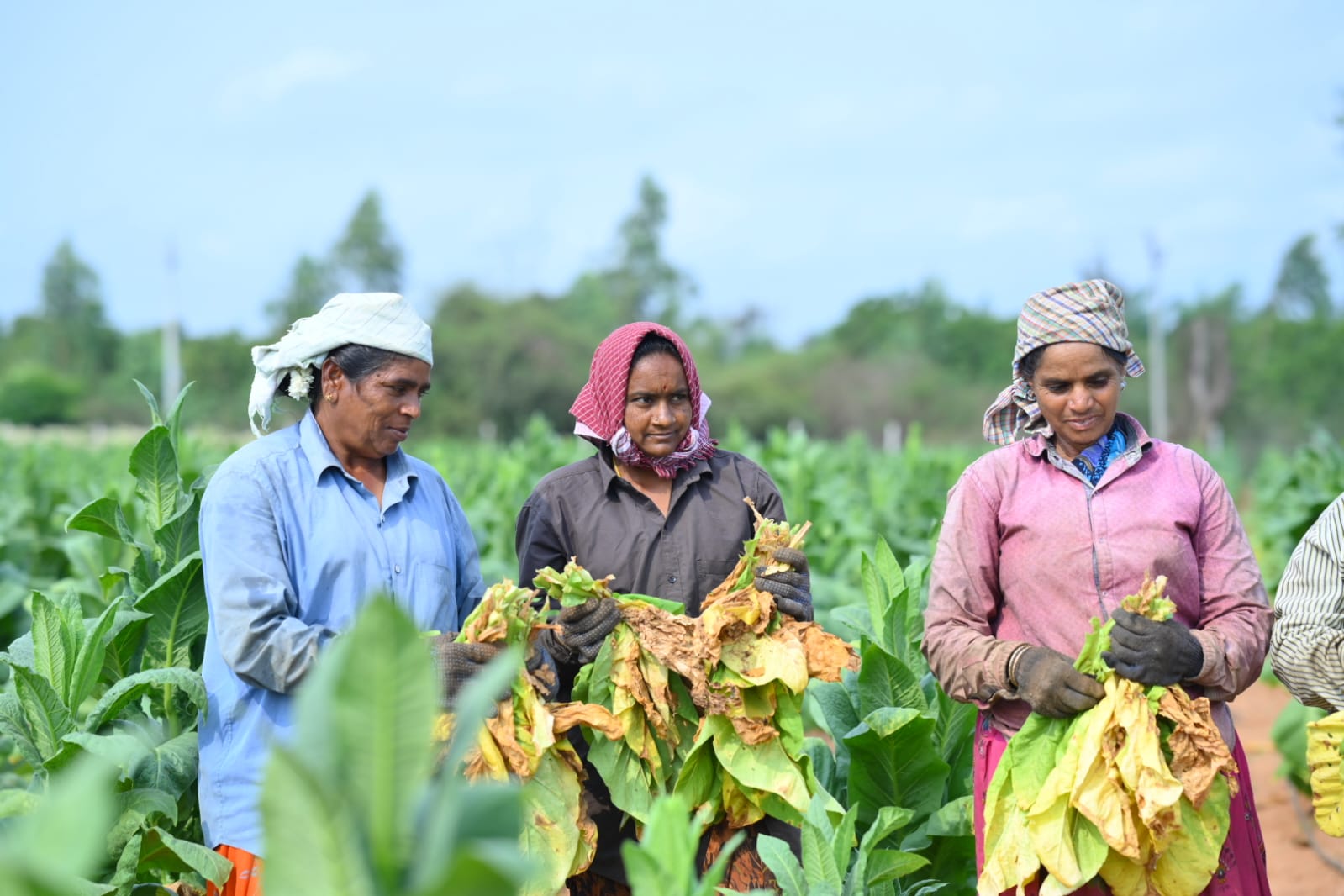 Elitecon International Strengthens CSR, with &lsquo;Empowering Farmers through Smart & Sustainable Agriculture Initiative with ICAR-NIRCA Collaboration