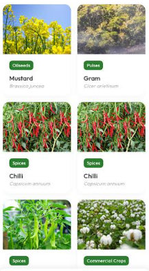 IIT Ropar&rsquo;s ANNAM.AI Launches AVNI to Bring Agricultural Awareness and Learning to Children Through AI