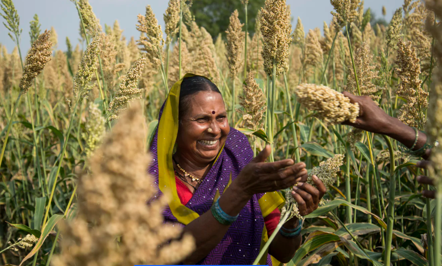 Why Agri-Input Dealers Matter More Than Ever in an Era of Agricultural Uncertainty