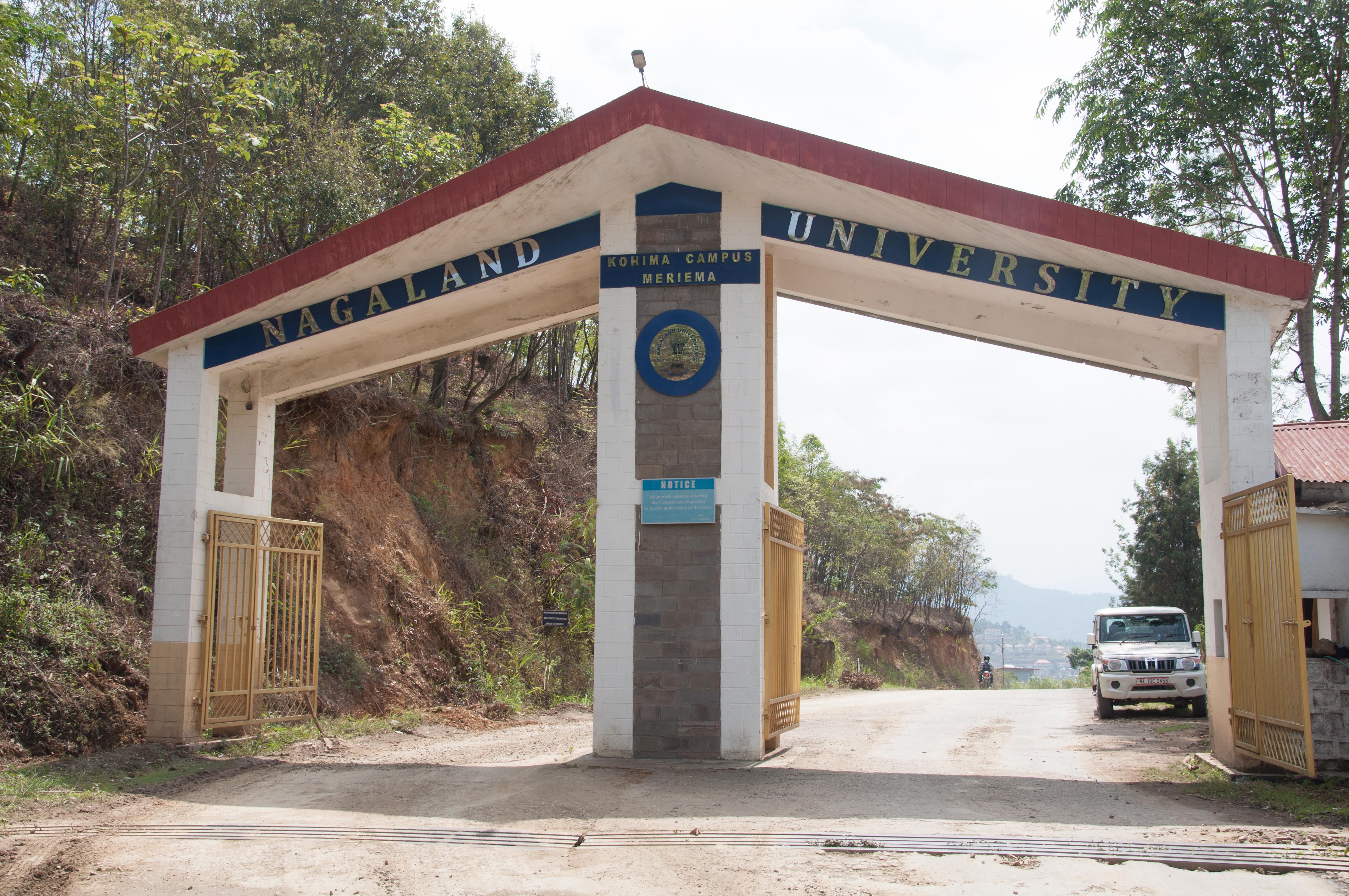 Nagaland University opens Four-Year Undergraduate Programme Admissions through CUET-UG 2026 for BSc Honours