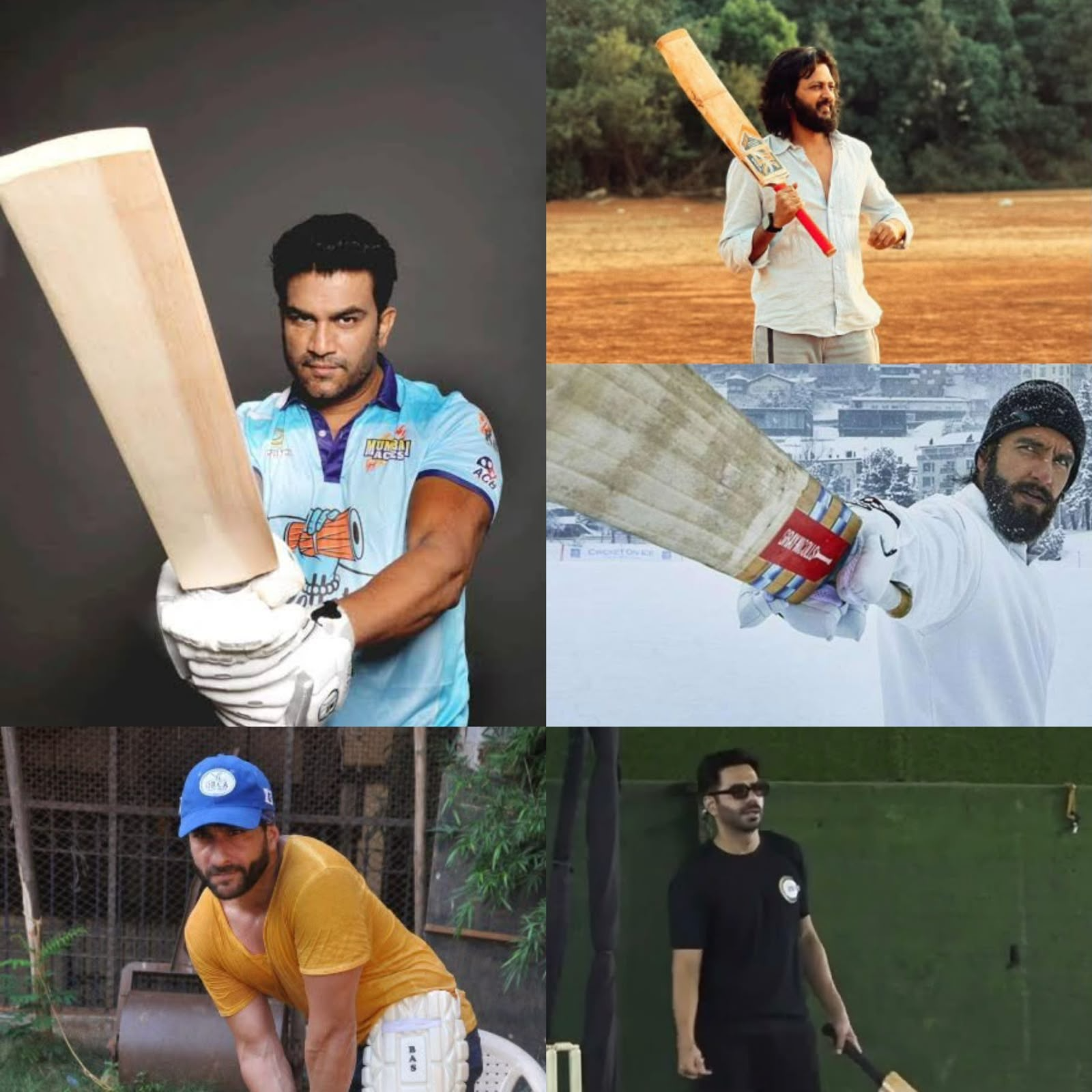 *Riteish Deshmukh, Aparshakti Khurana to Sharad Kelkar: Bollywood Actors Who Are Cricket Enthusiasts*