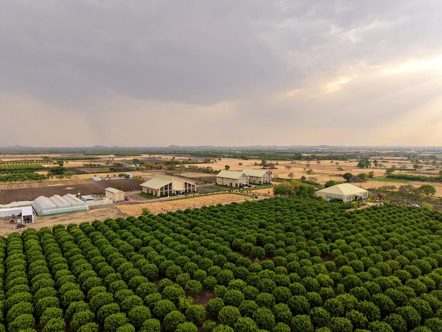 TAFE’s JFarm inaugurated in Rajasthan to empower the farming community