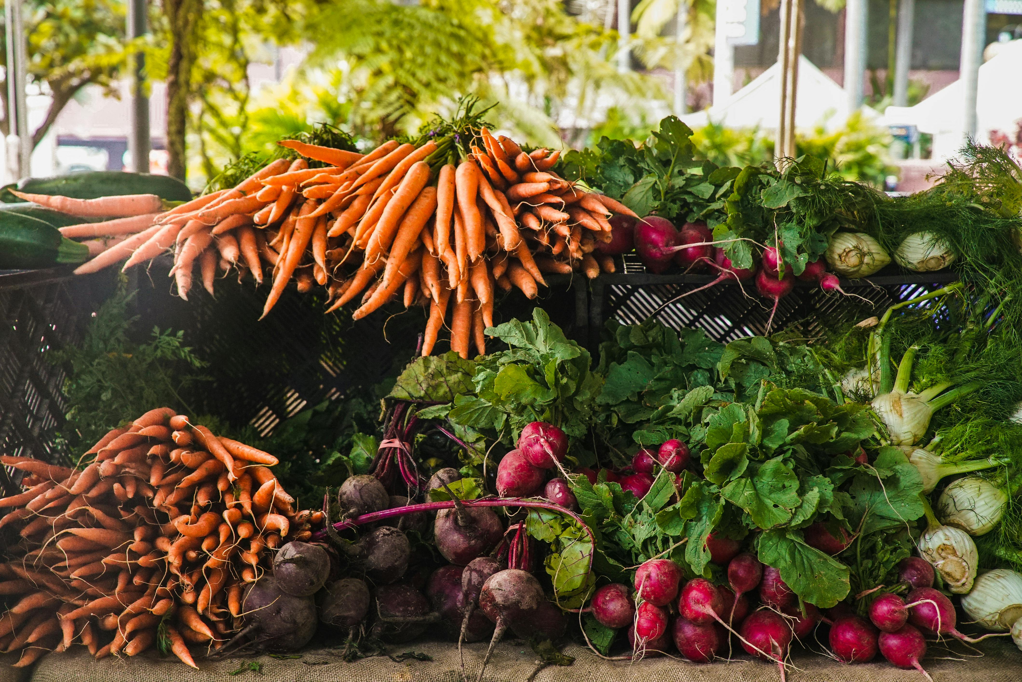 Plant-Based Nutrition and Gluten Sensitivity: A Comprehensive Guide to Healthier Eating
