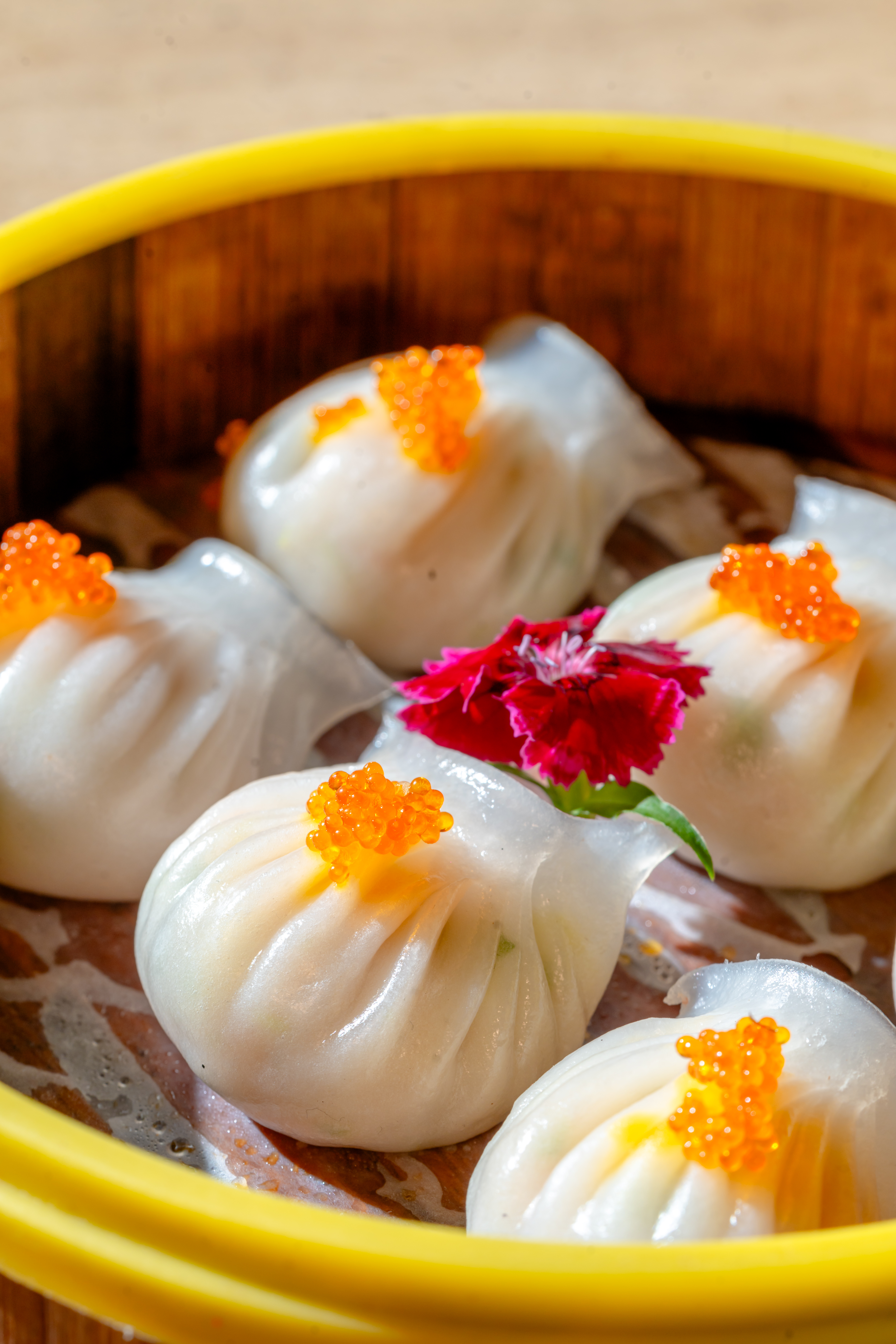 Sayaji Hotel Vadodara Presents ‘Wok & Wander’ – An Asian Culinary Celebration at Cravings