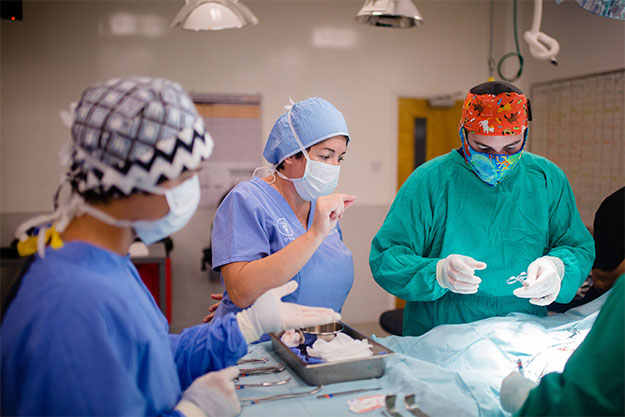 Article | The Best Doctors Are Shaped by More Than Clinical Knowledge