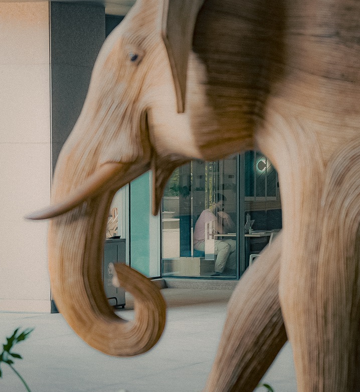 RMZ Foundation to Host Opening Night of Bengaluru Art Weekend, Bringing Together Artists, Patrons, and Contemporary Practice