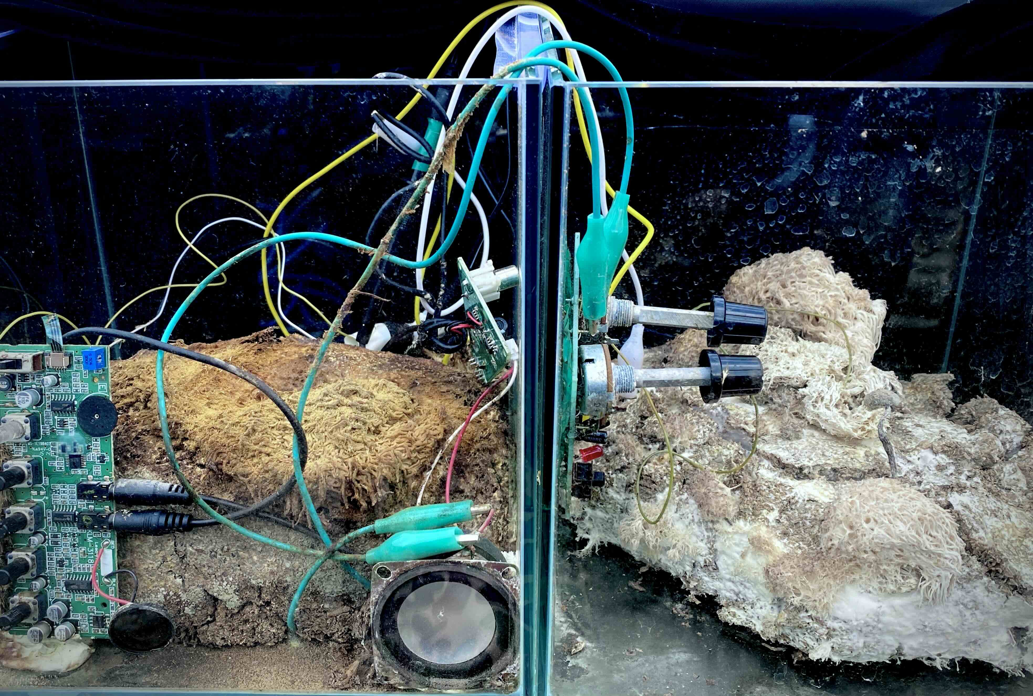 Wama&rsquo;s Newest Exhibition Unearths The Mysterious World Beneath Our Feet