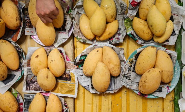 ORMAS Hosts Mango Festival 2026 in Bhubaneswar