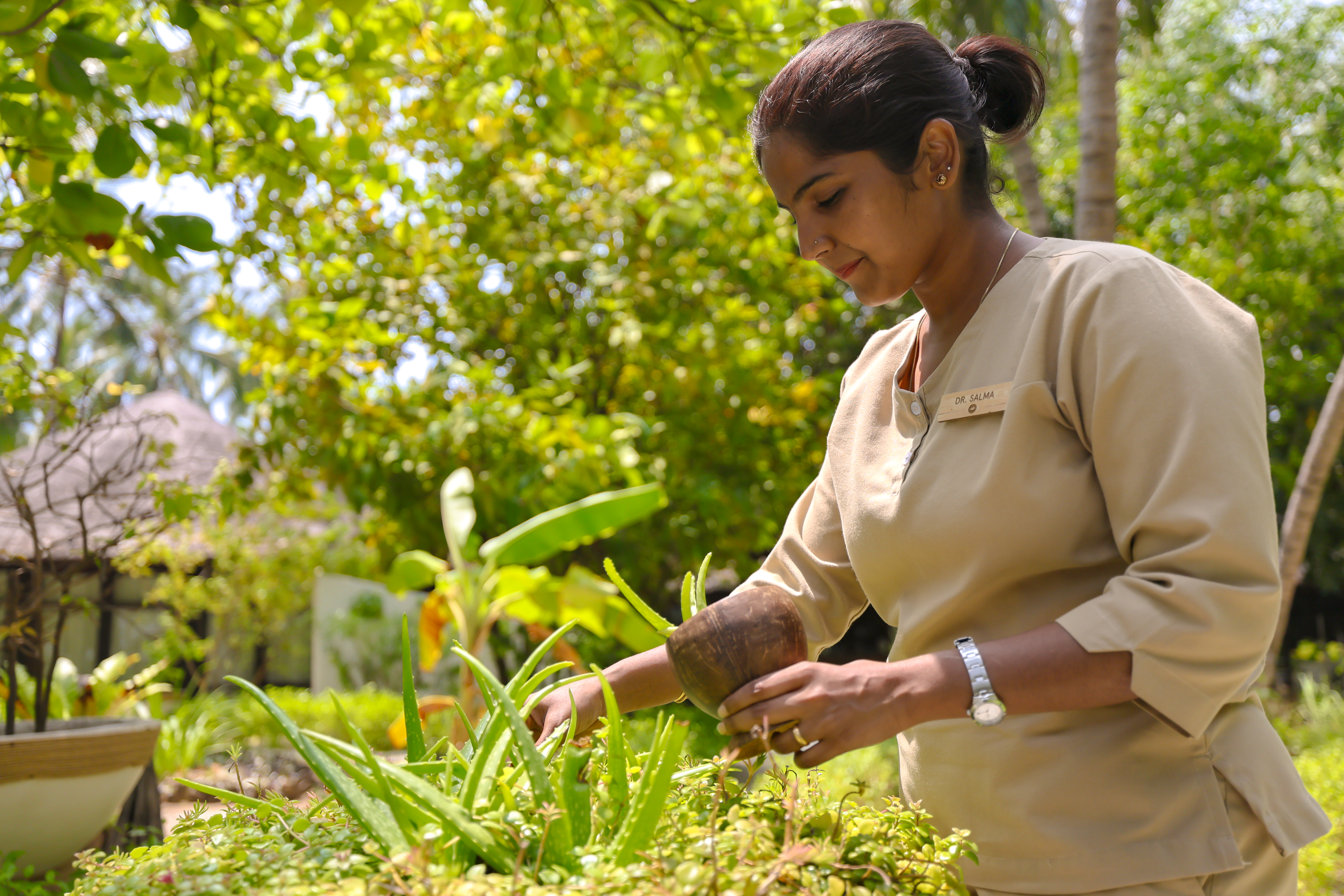 ELE|NA Sanctuaries Achieve Platinum Sustainable Spa & Wellness Accreditation