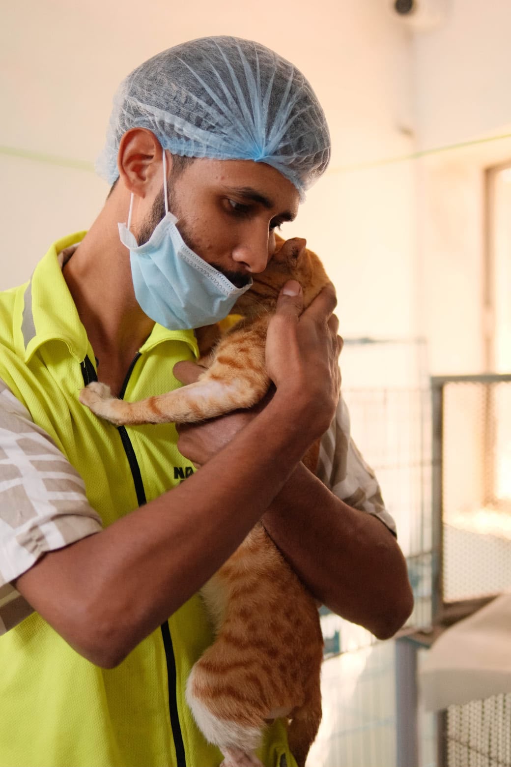 Giving Mumbai's Rescue Animals a Second Chance Through Affordable Advanced Veterinary Care