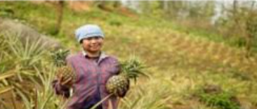 Instamart takes Northeast's Distinctive Produce Across India