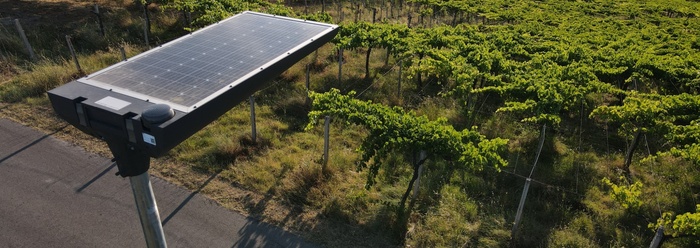 Signify secures EcoVadis Platinum rating for seventh consecutive year