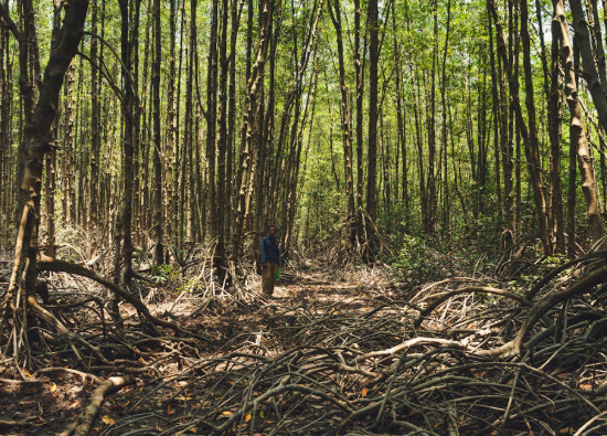 Odisha&rsquo;s Mangrove Man Calls for Community-Led Climate Action on World Environment Day
