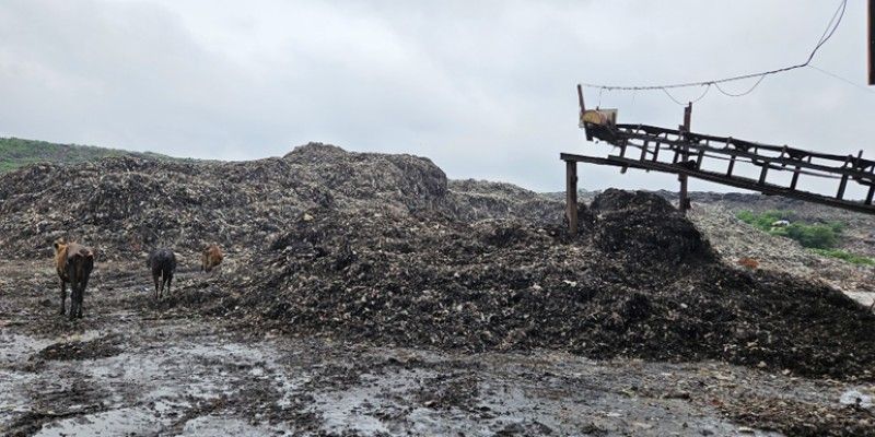 University of Leeds partnerships support India&rsquo;s cleaner cities and net-zero goals