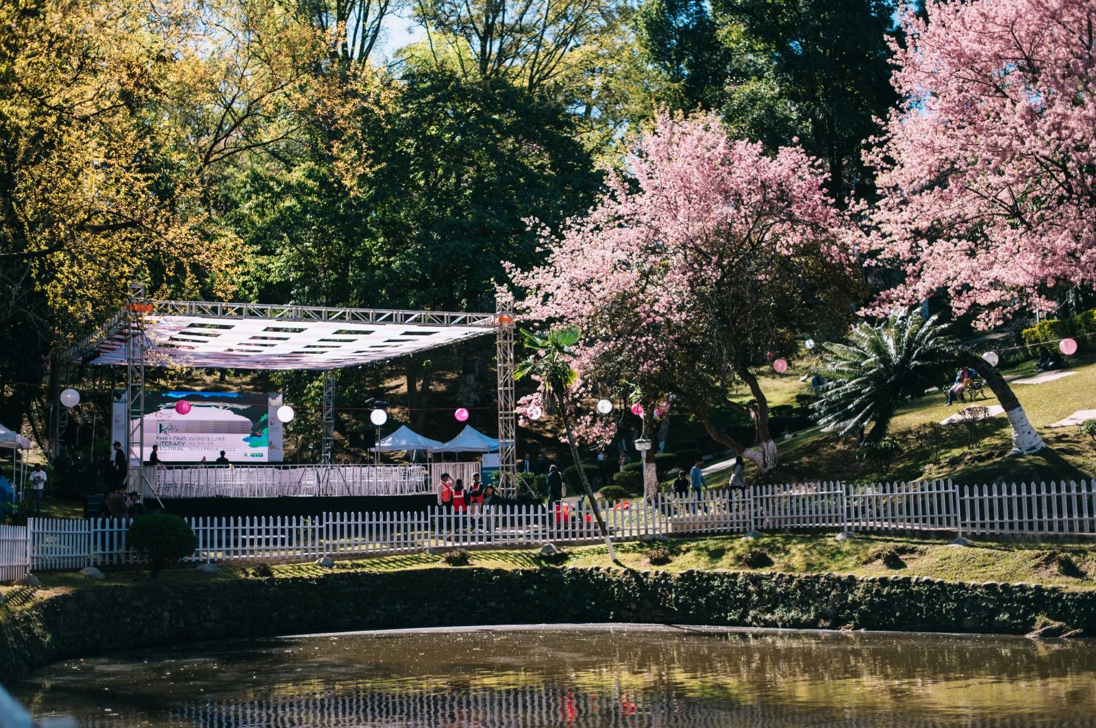 6th Shillong Literary Festival Set to Open Amid Cherry Blossoms at Ward’s Lake