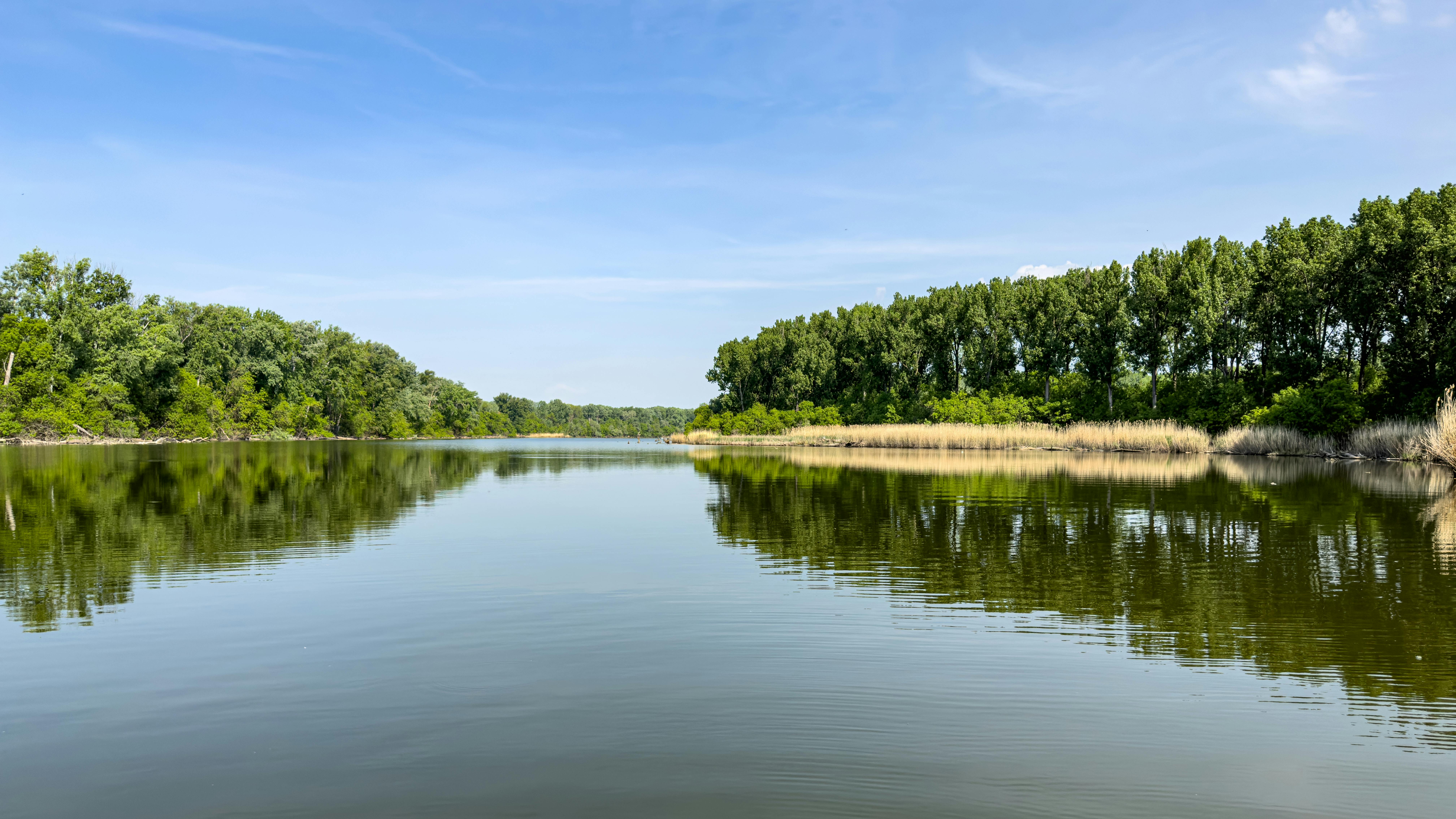 Protecting Ecosystems: The Role of Surface Water Quality Research