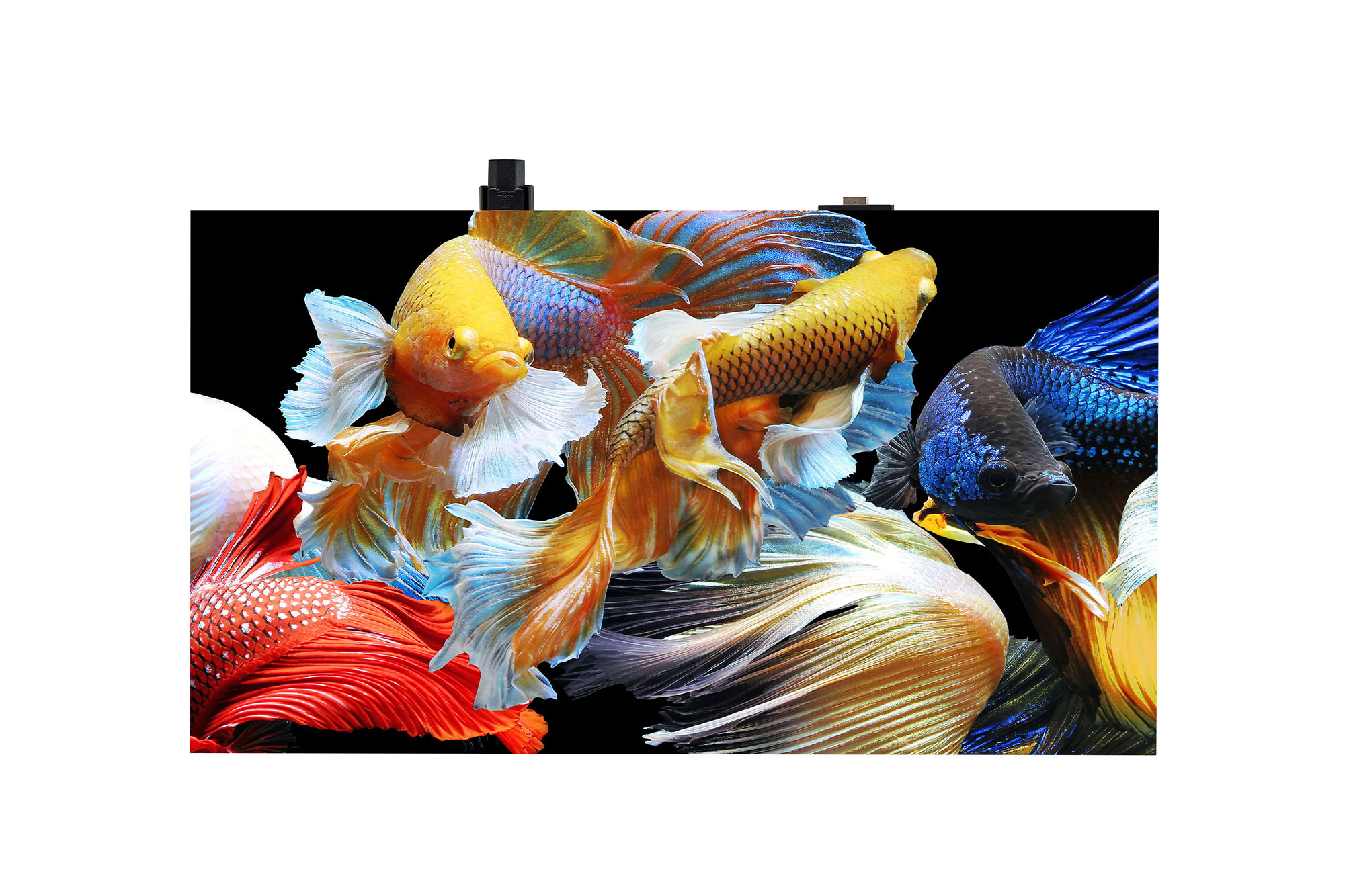 LG Electronics India redefines visual excellence with the launch of LG MAGNIT Gen 2 Micro LED Display