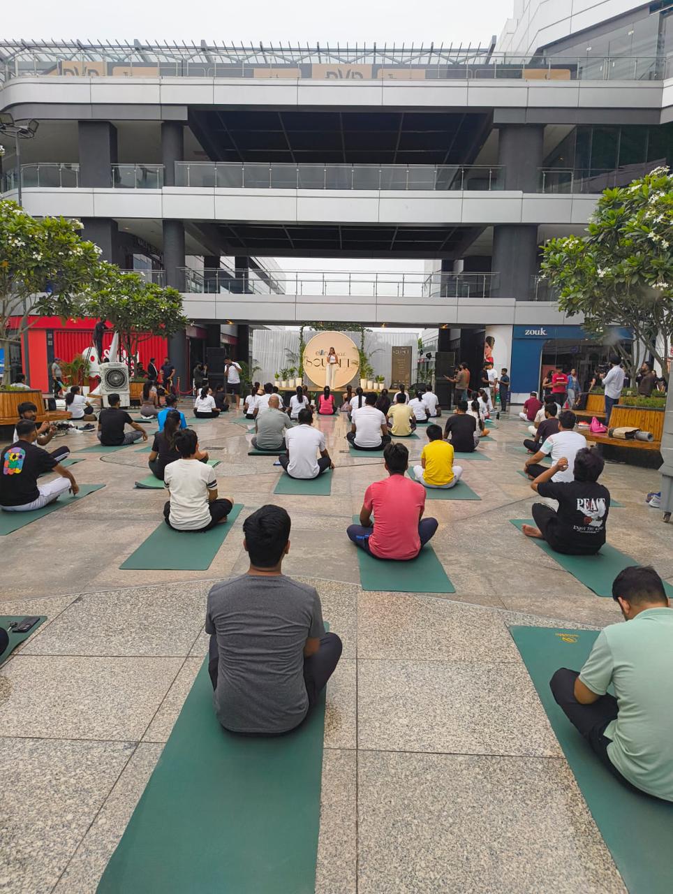 WiseLife Reinvents International Yoga Day with