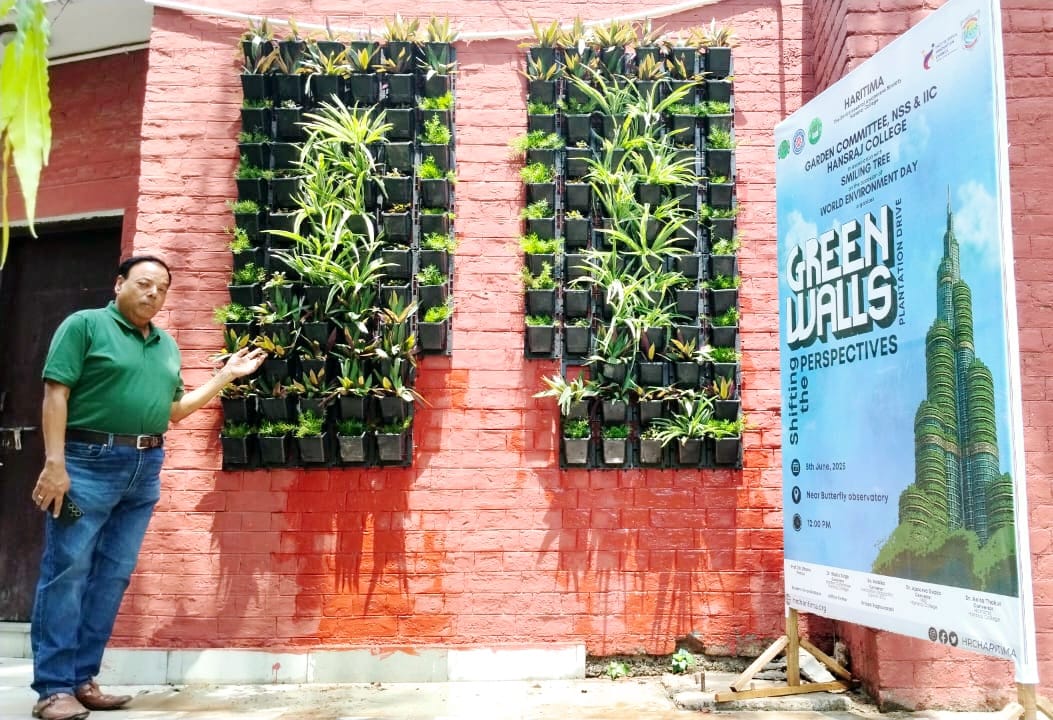 The Economics of Urban Green Spaces: Why Every Educational Institution Should Invest in Nature