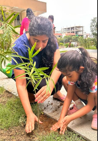 World Environment Day- Ambience Creacions | Plantation Drive