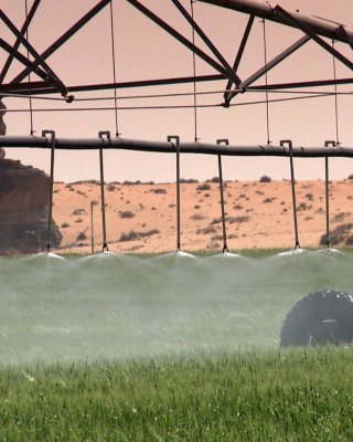 FPT and Green Power Systems Help Boost Algeria&rsquo;s Powdered Milk Production