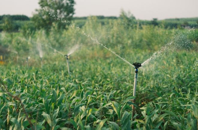 Smart Irrigation Can Reduce Water Wastage: How Technology Is Transforming Indian Agriculture