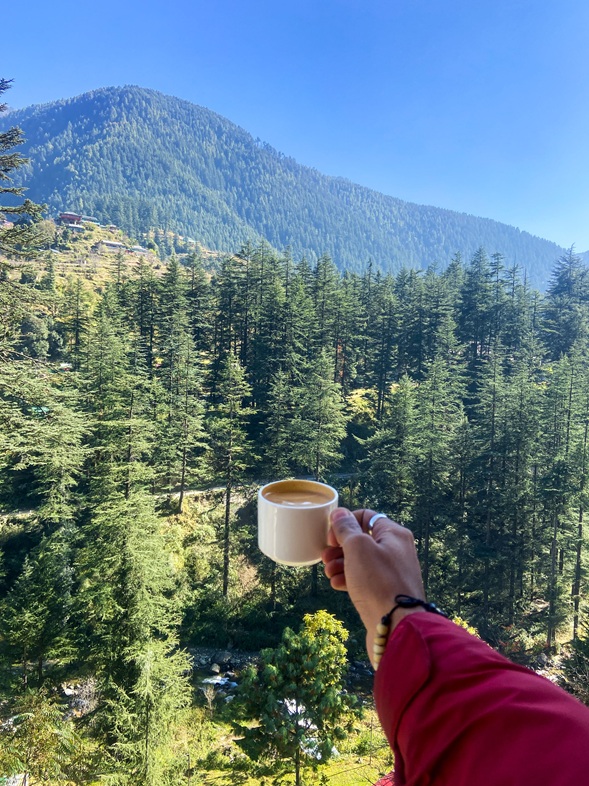 Jibhi, Himachal Pradesh: The Quiet Mountain Escape Travellers Are Discovering