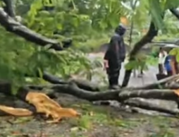 Continuous Rain Disrupts Life in Lamtaput; Roads Blocked and Power Supply Affected