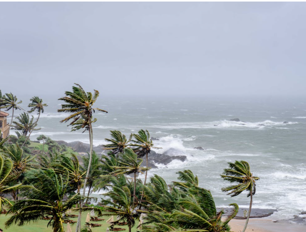 Below-Normal Monsoon Outlook Sparks Concerns Over Rural Demand Outlook for FY27