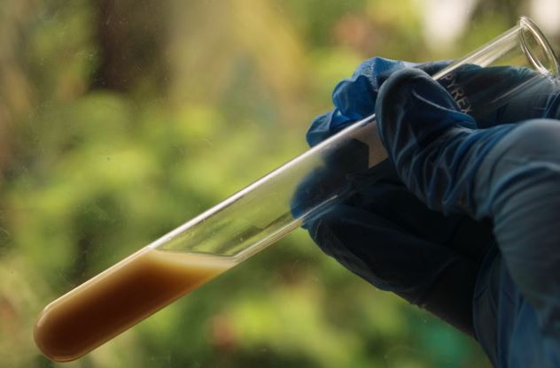 India's Water Quality Gap: What Happens After a Test Finds Contamination?