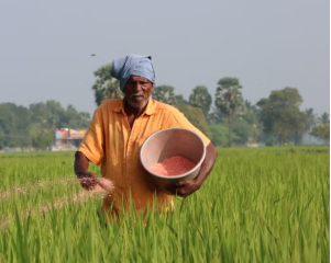 Fertiliser Sector Set for Up to Rs 90,000 Crore Capex Push, ICRA Says